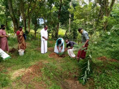 à´…à´£àµà´Ÿà´²àµ‚à´°à´¿àµ½ à´šàµ†à´¯àµà´¯àµà´¨àµà´¨ à´ªà´ªàµà´ªà´¾à´¯ à´•àµƒà´·à´¿à´¯àµà´Ÿàµ† à´‰à´¦àµà´˜à´¾à´Ÿà´¨à´‚