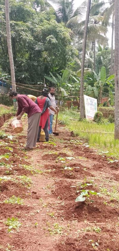 à´¤à´²à´¶àµà´¶àµ‡à´°à´¿   à´•àµ‹à´ƒà´“à´ªàµà´ªàµ  à´±àµ‚à´±à´²àµâ€  à´¬àµ‡à´™àµà´•à´¿à´¨àµâ€à´±àµ† à´Žà´°à´žàµà´žàµ‹à´³à´¿ à´®à´²à´¾à´²àµà´³àµà´³ à´®à´¾à´¤àµƒà´•à´¾ à´•àµƒà´·à´¿à´¤àµ‹à´Ÿàµ