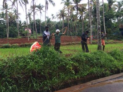 à´¤à´²à´¶àµà´¶àµ‡à´°à´¿   à´•àµ‹à´ƒà´“à´ªàµà´ªàµ  à´±àµ‚à´±à´²àµâ€  à´¬àµ‡à´™àµà´•à´¿à´¨àµâ€à´±àµ† à´Žà´°à´žàµà´žàµ‹à´³à´¿ à´®à´²à´¾à´²àµà´³àµà´³ à´®à´¾à´¤àµƒà´•à´¾ à´•àµƒà´·à´¿à´¤àµ‹à´Ÿàµ